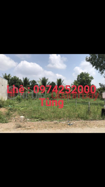 đ 2.2 Billion, Owner - NEED TO SELL QUICKLY Land Frontage On Asphalt Road In Binh Duc Ward, Long Xuyen, An Giang