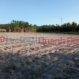 Owner For Sale Land Lot In Phu Lac Commune, Lien Huong Town, Tuy Phong District, Binh Thuan _0