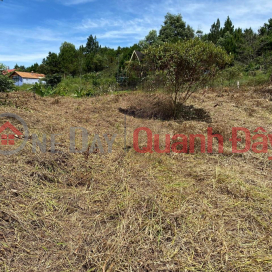 BEAUTIFUL LAND - GOOD PRICE - For Quick Sale Land Lot Prime Location In Center Loc Chau - Bao Loc _0