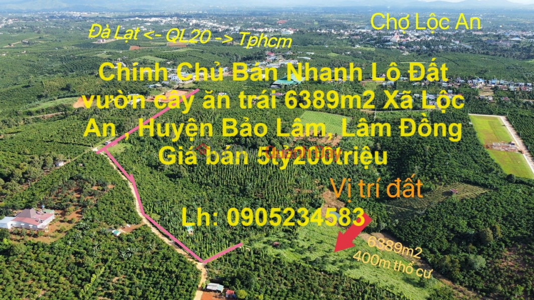 Chính Chủ Bán Nhanh Lô Đất vườn cây ăn trái 6389m2 Xã Lộc An , Huyện Bảo Lâm, Lâm Đồng Niêm yết bán