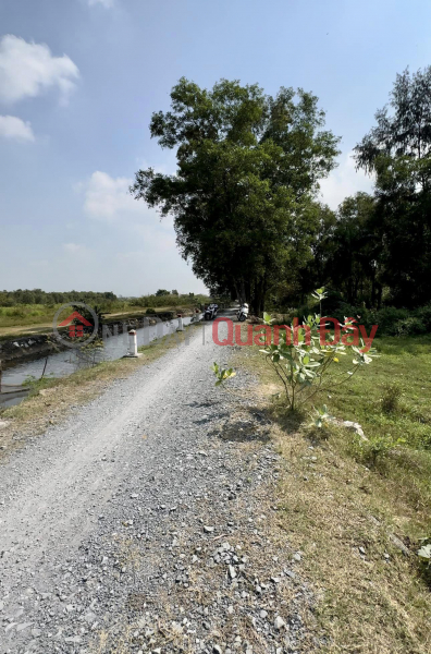 Property Search Vietnam | OneDay | Residential, Sales Listings | Private Red Book land 1273m2 (full residential) 50 x26 - only slightly 20 Billion - Xuan Thoi Son - Hoc Mon