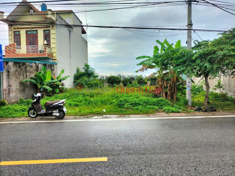 LAND FOR SALE ON BUSY NATIONAL HIGHWAY IN VU THU - 310M2 FRONTAGE 15M RARE Sales Listings