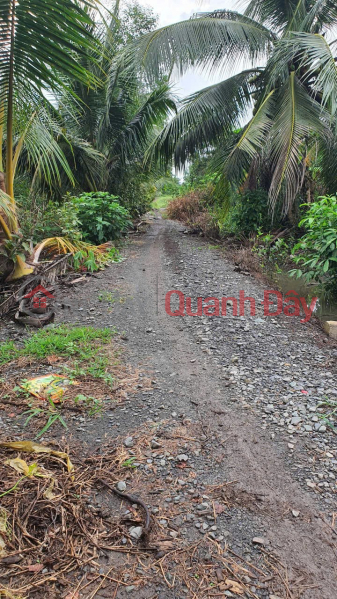 Property Search Vietnam | OneDay | Residential | Sales Listings GREAT INVESTMENT OPPORTUNITY AT A GREAT PRICE - OWNER NEEDS TO SELL QUICKLY A PLOT OF LAND IN TAN THANH HAMLET, THU THUA COMMUNE, TAY NINH PROVINCE.
