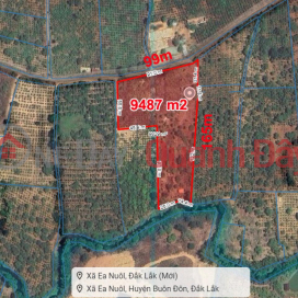1Ha garden land, with stream - Ea Nuol Commune, Dak Lak _0