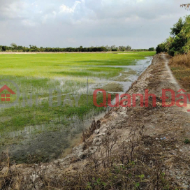 CƠ HỘI ĐẦU TƯ GIÁ TỐT - Chính Chủ Bán 2 Mảnh Đất Nông Nghiệp xã Tân Phú Trung, Châu Thành, Đồng Tháp _0
