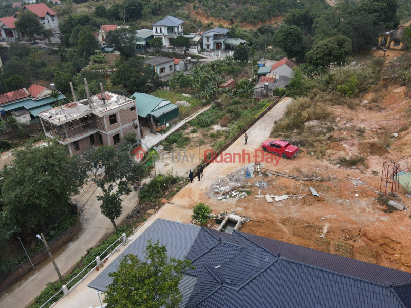 Property Search Vietnam | OneDay | , Sales Listings Land for sale in Viet Hung area, Ha Long - Car Street - Price only 600 million VND