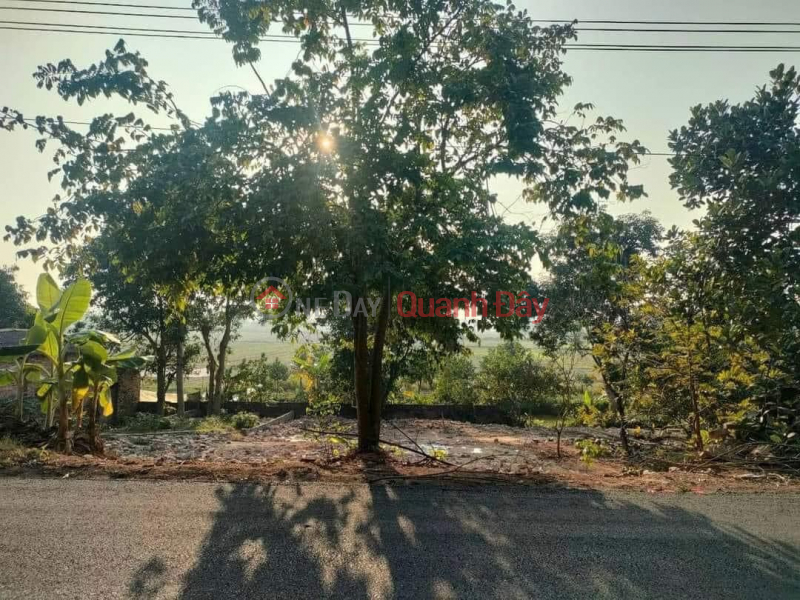 Urgently need liquidation of land plot on Pham Van Dong, Cao Minh, Phuc Yen, Vinh Phuc Sales Listings