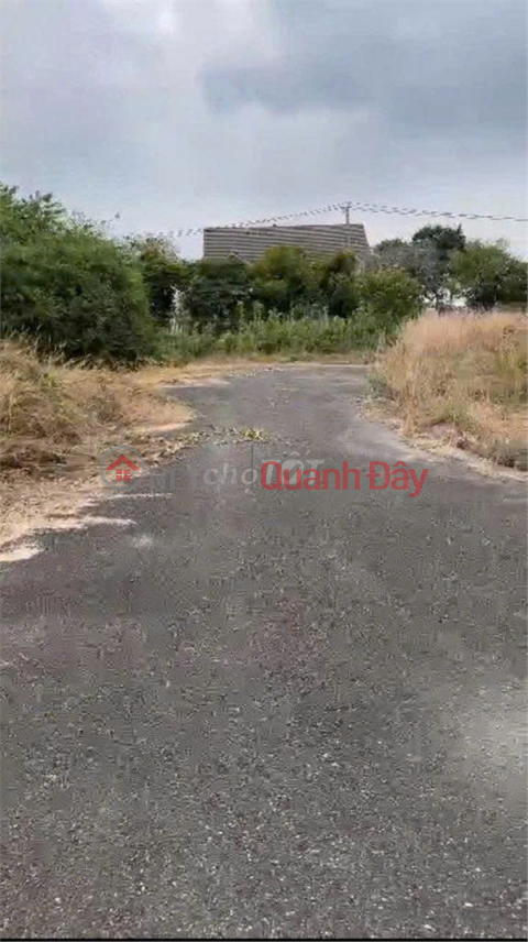 HOT INVESTMENT OPPORTUNITY - OWNER NEEDS TO SELL PRIME LOCATION LAND IN PHUOC AN COMMUNE, NHON TRACH DISTRICT, DONG NAI PROVINCE _0