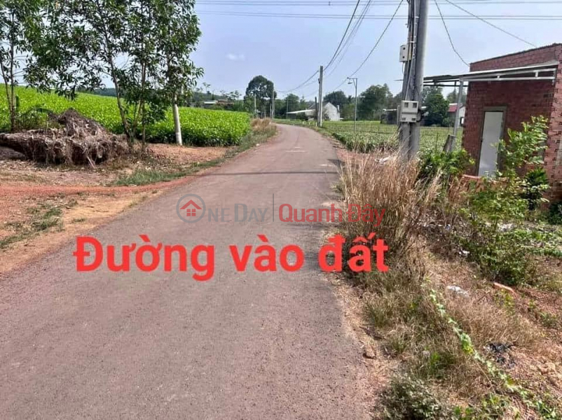 Urgent! I'm stuck with money, so I'm selling cheap land right away on National Highway 14, dt 3087m2. Price 220TR\\/lot Vietnam | Sales đ 220 Million