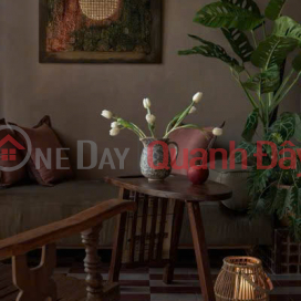 Nhà đẹp giá tốt Homestay 2 tầng kiệt , Điện Biên Phủ, thành phố Huế , doanh thu ổn định _0