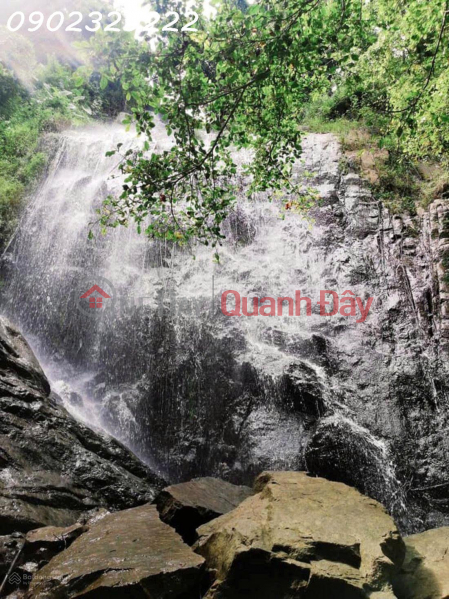 Property Search Vietnam | OneDay | Residential, Sales Listings, Land for Sale at Cam Mountain, An Hao Commune, Tinh Bien District, Area 9093 M2, Adjacent to Otuksa Stream