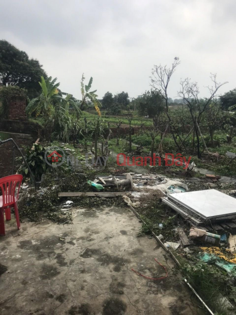 Beautiful Land - Good Price - Owner Needs to Sell Factory Land in Hoang Tan, Chi Linh City. _0