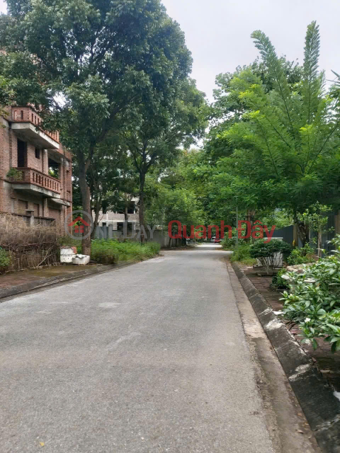 Semi-detached villas for sale in Ha Phong Urban Area, Tien Phong, Me Linh, under 12.4 billion VND. 240m2 _0