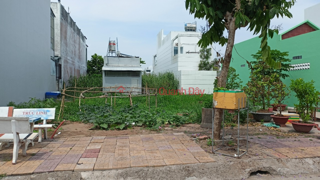 Property Search Vietnam | OneDay | Residential, Sales Listings | BEAUTIFUL LAND - GOOD PRICE - Quick Sale 3 Residential Areas Phu An Urban Area, Phu Thu Ward, Cai Rang, Can Tho