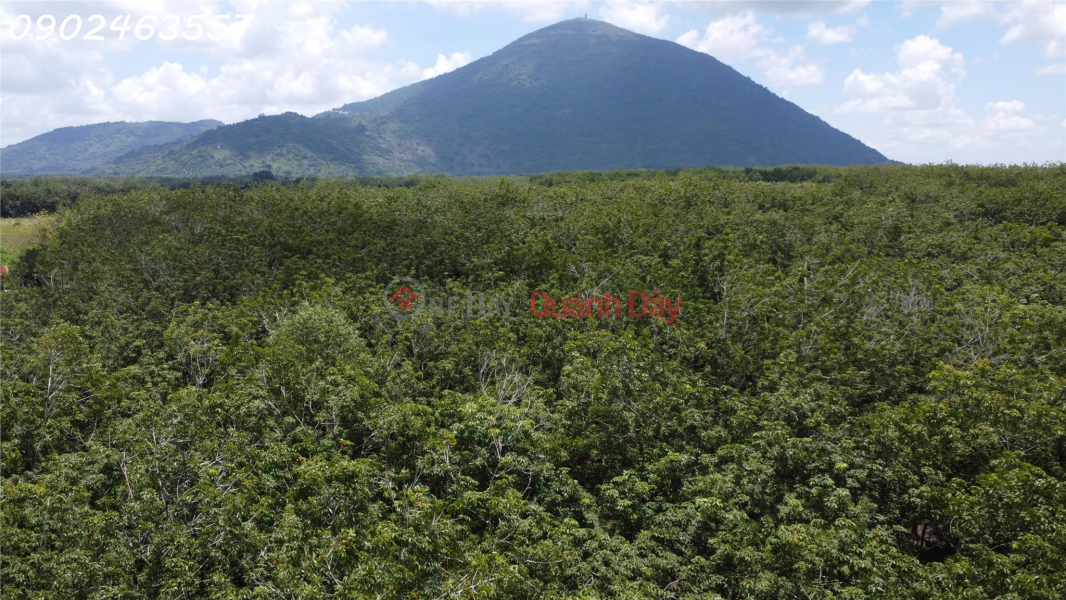 Unique piece of land with a view of Ba Mountain and the West Canal! Sales Listings