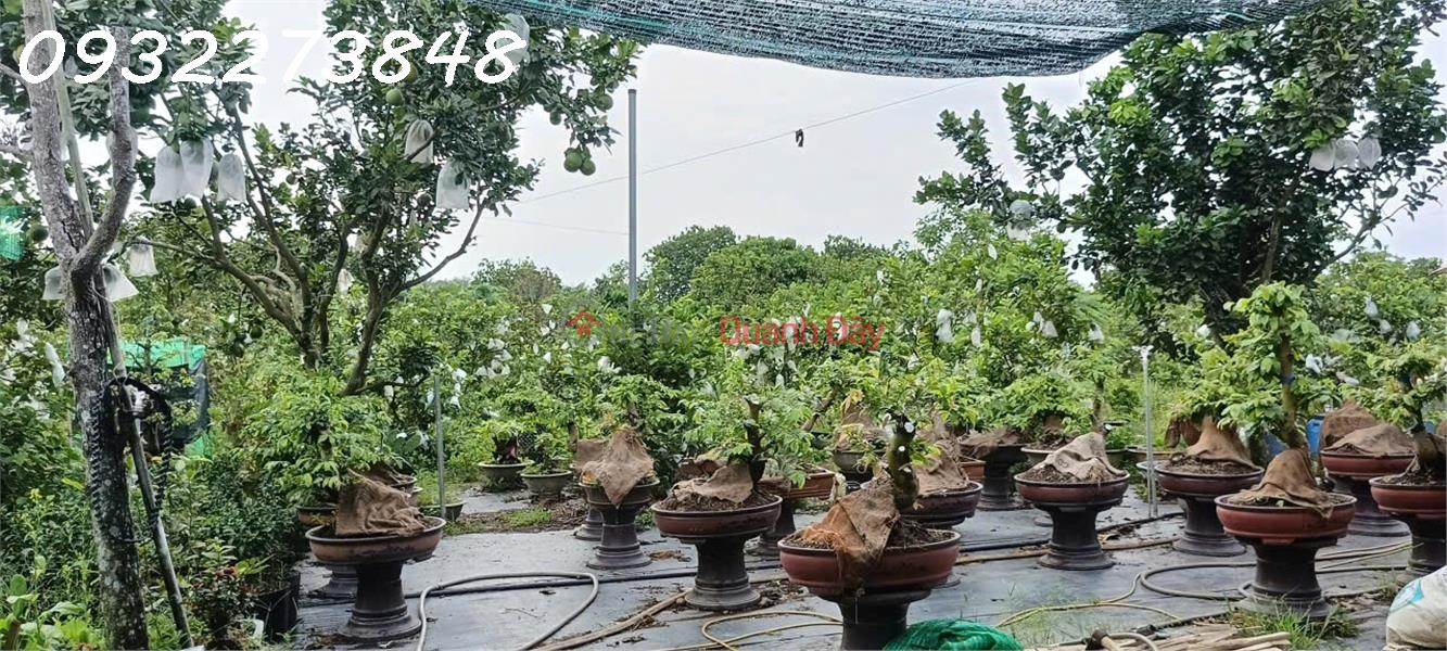 Chính chủ cần bán đất tại ấp Sa Cá, xã Bình An, Long Thành, Đồng Nai Niêm yết bán