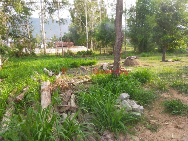 đ 375 Million | GENERAL FOR SALE IMMEDIATELY Land Lot Very Cheap Price In Hoa Son Commune - Krong Bong District - Dak Lak