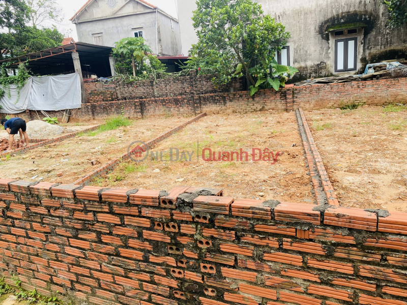 Property Search Vietnam | OneDay | Nhà ở Niêm yết bán | Giá cực rẻ chỉ 615tr lô đất full thổ cư Tân Dân, Sóc Sơn