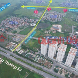 URGENT LAND FOR SALE IN PHUC THO - MAI LAM Commune - DONG ANH District - Hanoi City _0