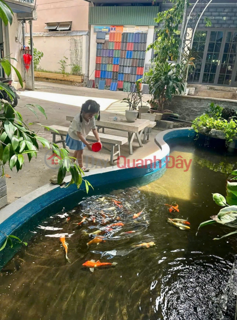 BEAUTIFUL HOUSE – GOOD PRICE – OWNER NEEDS TO SELL HOUSE AT 1269 23\/10 STREET, VO CANH WARD, NORTH NHAT TRANG CITY, KHANH HOA PROVINCE _0