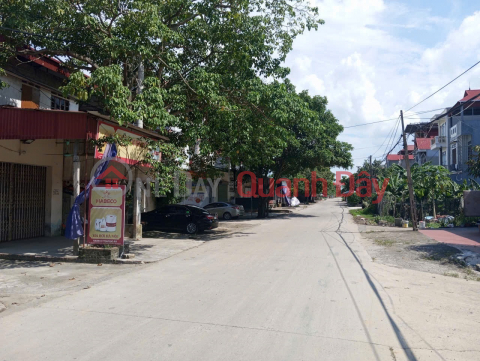 Bán đất Thuận Thành, Bắc Ninh. 85m2 * mt 5,9m * 2,48 tỷ. Lô góc, ô tô tránh _0