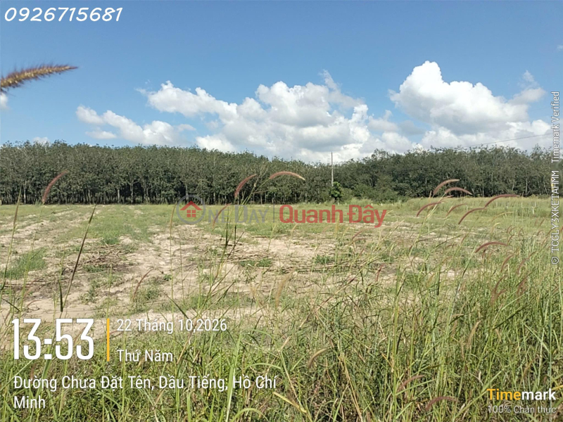 Property Search Vietnam | OneDay | Nhà ở Niêm yết bán, Bán đất đẹp tại Ấp Yên Ngựa, xã Định Thành, Dầu Tiếng, DT 284,4m2, nhiều tiện ích