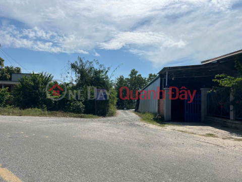 Urgent sale of land plot at 1 set of Phu Thuan street, Phu My Hung commune, Cu Chi district, Ho Chi Minh City _0