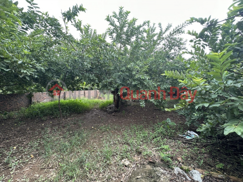 For sale 400m of LAND, 13m of Xuan Block, Doc Lap Lane], Long Bien, price 20 BILLION, suitable to build a garden villa _0