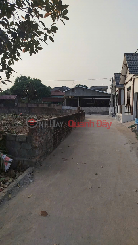 OWNER'S LAND - Good price - Corner lot - Beautiful location in Hoa Thach commune, Quoc Oai _0