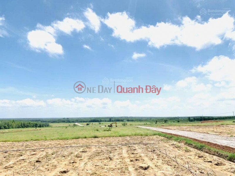 Bán 40ha đất quy hoặc ở nông thôn- ven hồ Dầu Tiếng- giá tốt Niêm yết bán