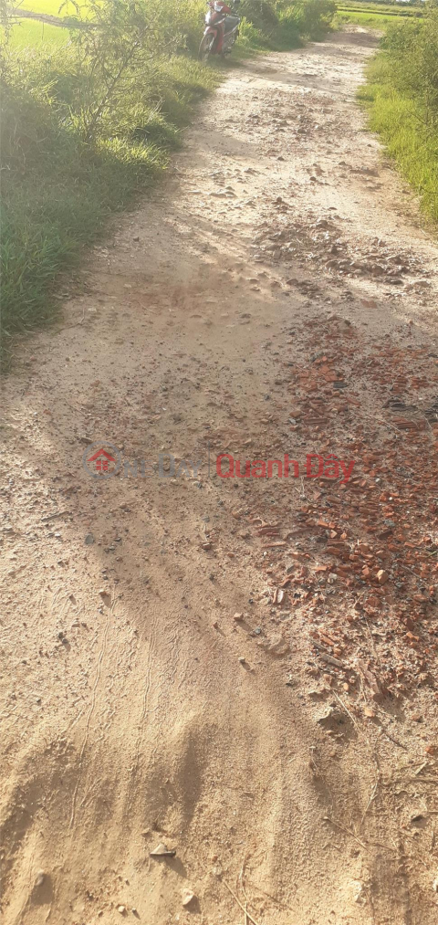 BEAUTIFUL LAND - GOOD PRICE - QUICK SELL LAND Plot in Hong Thai Commune, Bac Binh District, Binh Thuan _0