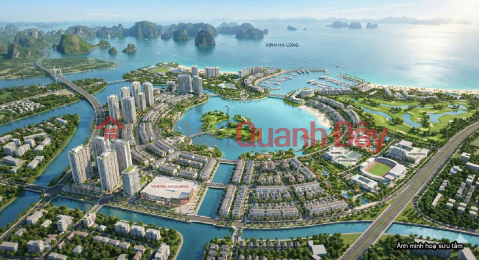 BẢNG GIÁ NỘI BỘ PK CHÂU MỸ (ĐỢT MỞ BÁN ĐẦU TIÊN) + DS LÔ ĐẸP VIN HẠ LONG XANH _0