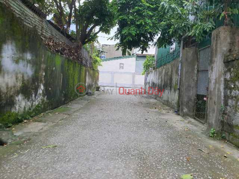 Property Search Vietnam | OneDay | , Niêm yết bán | bán lô đất ngõ đường nam cao đông vĩnh