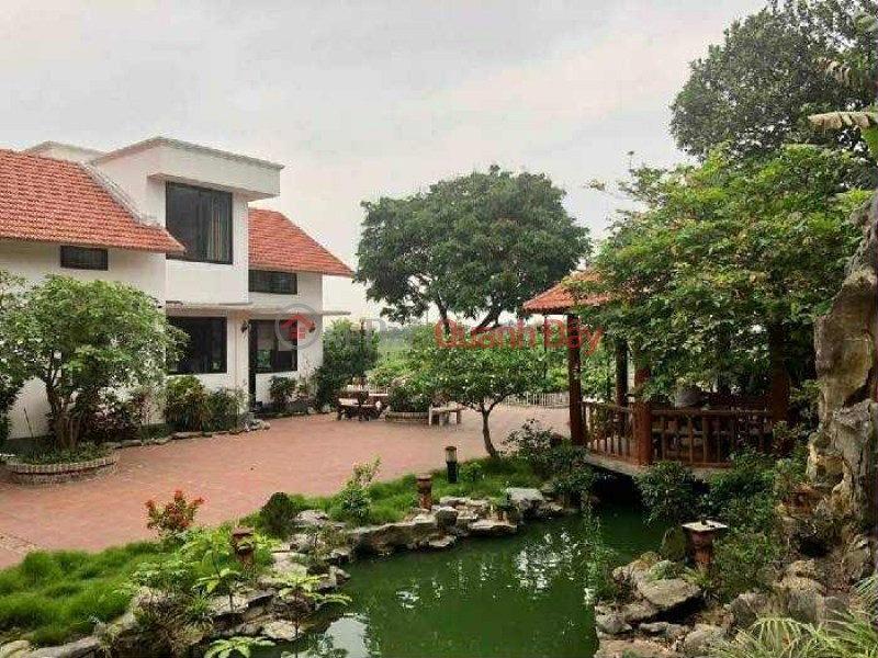Bodhi garden villa, 1200m x 3 floors, 25m frontage, mountain and water view, high-class interior, living landscape | Vietnam, Sales | đ 49 Billion