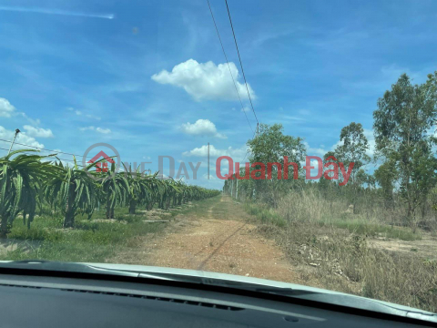 OWNER NEEDS TO SELL LAND LOT - CHEAP PRICE In Ham Thuan Nam, Binh Thuan _0