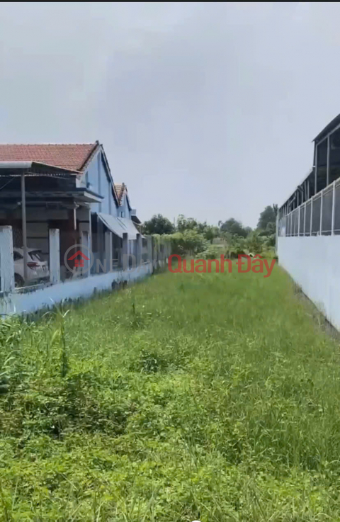 Chính Chủ Bán 1000m2 Đất Tại Ấp 5, Tân Hòa, Huyện Bến Lức, Long An _0