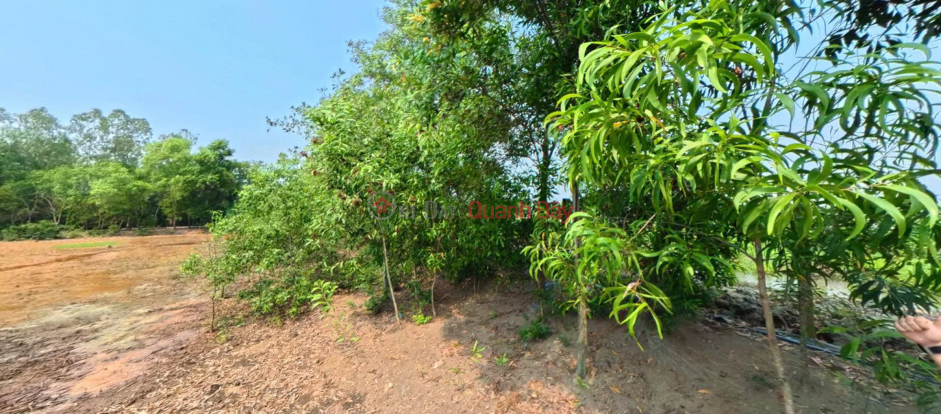 , Please Select, Residential, Sales Listings, đ 5.2 Billion