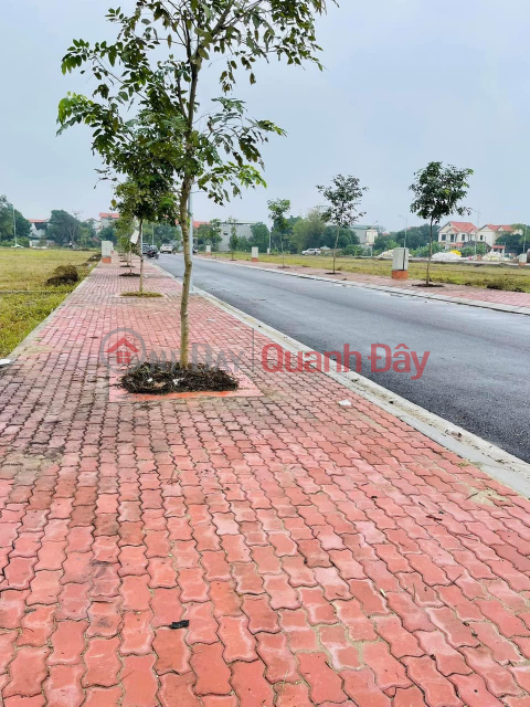 Land for sale in residential area of Minh Hai commune, Van Lam, Hung Yen, quick sale, good price _0