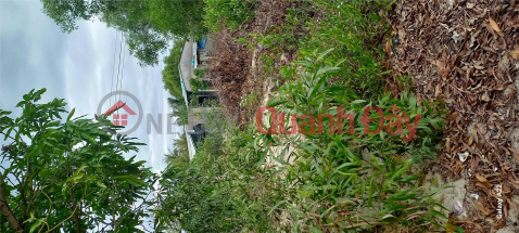 BEAUTIFUL LAND - GOOD PRICE - OWNERS FOR SALE LOT OF LAND WITH FREE HOUSE AVAILABLE in Xuan Hai, Tx. Song Cau, Phu Yen _0