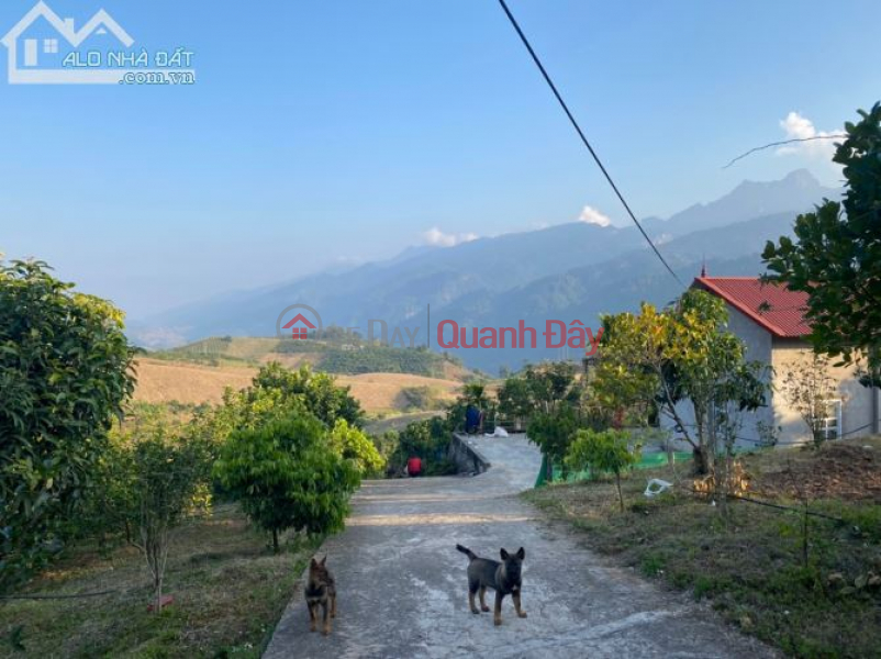 Need to sell a plot of land in a prime location in Chieng Son commune, Moc Chau, with a pink book, area of over 2 hectares, frontage of over | Vietnam | Sales, đ 3.6 Billion