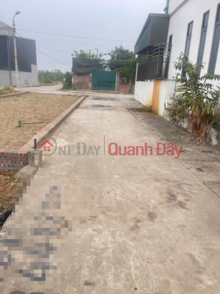 Property Search Vietnam | OneDay | Residential, Sales Listings, Urgent sale of 50m² land in Group 10, Quang Minh. Accessible road, parking available. Near industrial zone.
