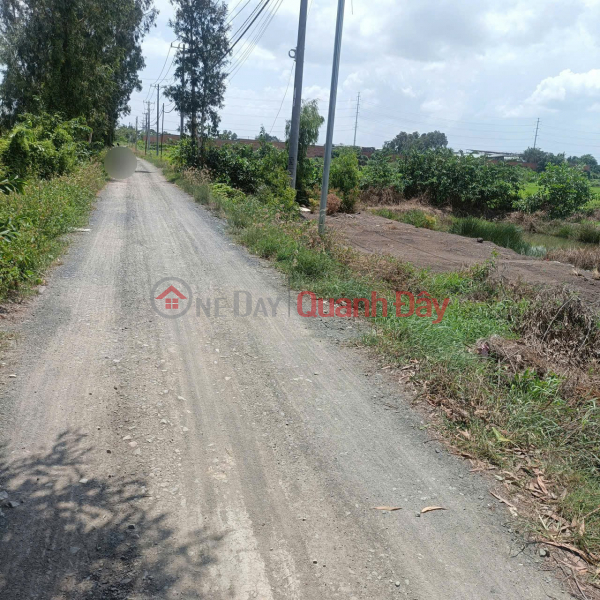 Property Search Vietnam | OneDay | Residential, Sales Listings | LAND FOR SALE QUICKLY NEXT TO VINHOME SAIGON PARK - GOOD PRICE Located near Thieu Nien Street, Xuan Thoi Son, Hoc Mon, HCM