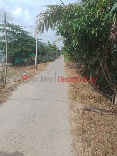 Beautiful Land - Good Price - Urgent Land Sale In An Dong Commune, Lap Vo, Dong Thap | Vietnam Sales | đ 1.8 Billion