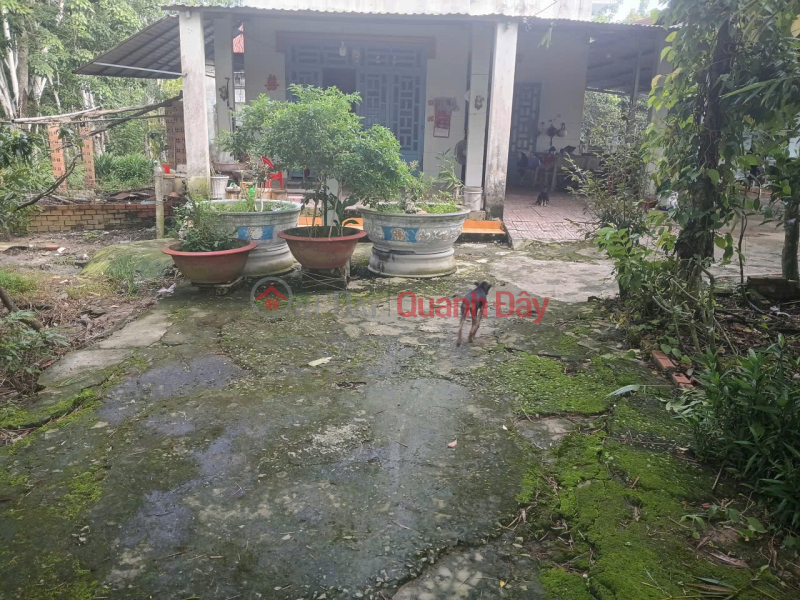 Land for sale in Dinh Hiep, Dau Tieng - Over 4,300m2, price only 4.5 billion VND, now part of Ho Chi Minh City - Great potential. | Vietnam Sales, đ 4.5 Billion
