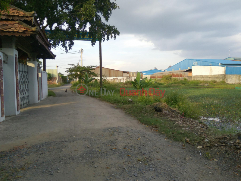 Land for sale on Tran Van Muoi Hoc Mon Street Suitable for Investment 2023, Vietnam Sales ₫ 20.8 Billion
