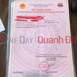 ĐẤT ĐẸP – GIÁ TỐT – CHÍNH CHỦ CẦN BÁN TẠi Xã Phước Thiền, Nhơn TRạch Đồng Nai _0