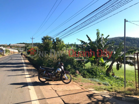 OWNER SELLING 12,829M2 LAND WITH TITLE DEED, FRONTAGE ON NATIONAL HIGHWAY 725, TA NUNG - GATEWAY TO TA NUNG _0