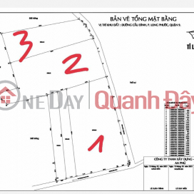 45 billion VND price reduction for 3 plots of land on Cau Dinh Street, Long Phuoc, District 9, now only 11 million VND\/m2 _0