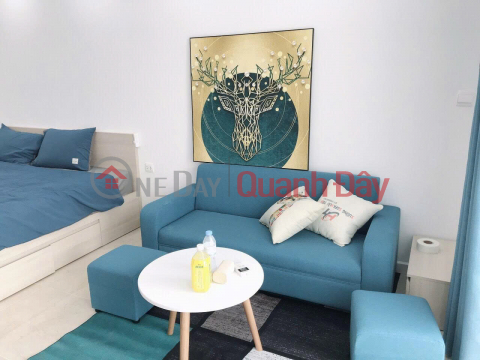 RENT NOW: Studio apartment in Vinhomes D'Capitale, 39m2 - airy, fully furnished, 13.5 million VND/month _0