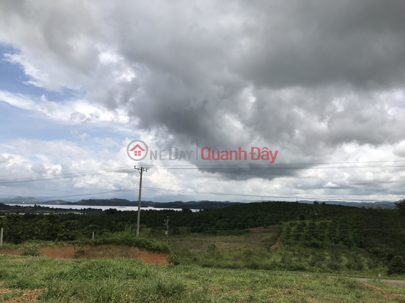 đ 3.8 Billion, Land for sale on Highway 28B Duc Trong, Lam Dong, 10 x 50m, (200)m2 TC,